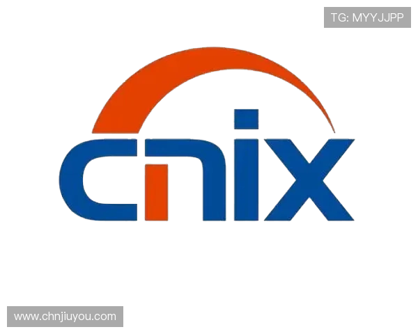 探索ag九游官网进入地址的安全性及保障措施